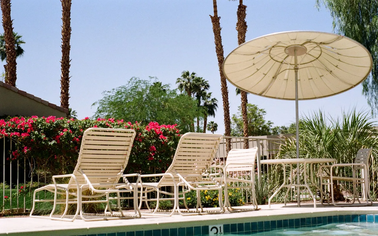 Comment aménager une terrasse autour de sa piscine pour un rendu vraiment design ? — Habiller le contour de la piscine avec végétation et ornements