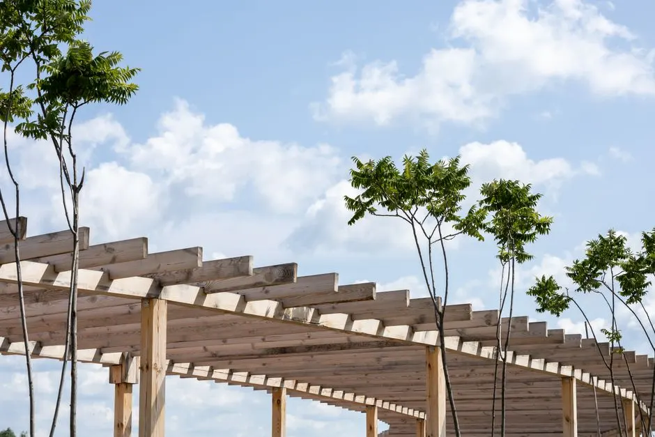 Pergola ou véranda : tout ce qu'il faut savoir pour faire le bon choix