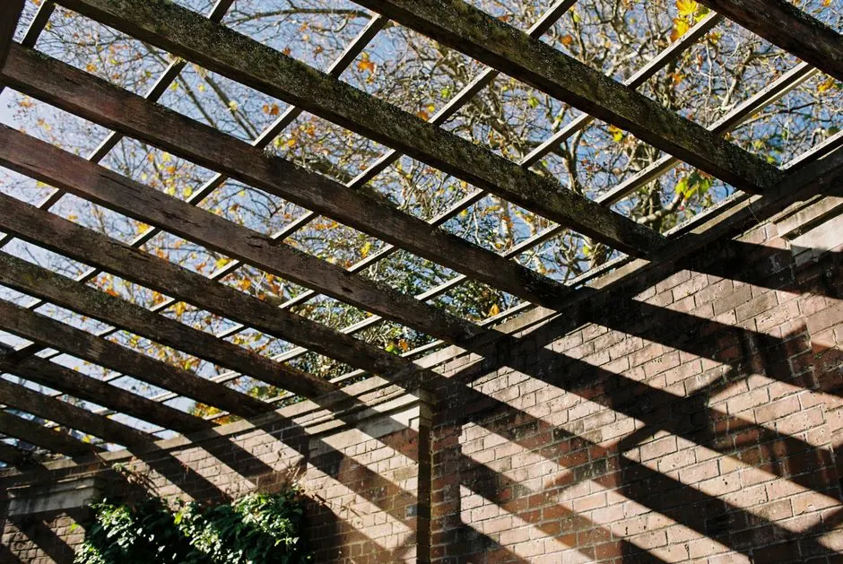 Pergola ou véranda : tout ce qu'il faut savoir pour faire le bon choix