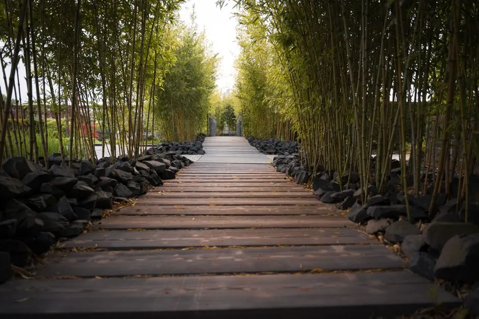 Créer un jardin zen dans votre extérieur, pas à pas