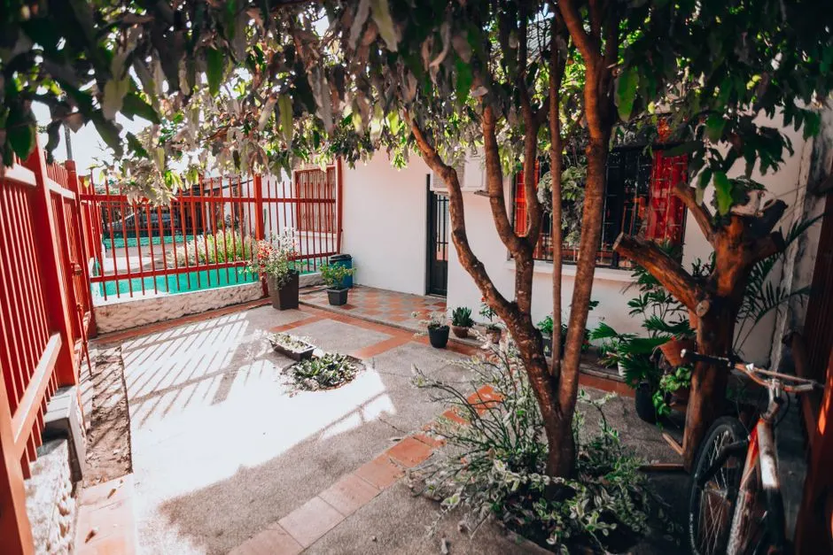 Aménager un petit jardin pour en tirer le meilleur parti
